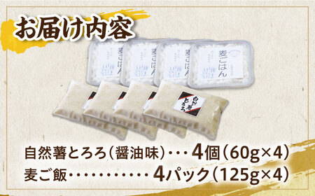 【味付け不要！本格自然薯麦とろ】自然薯 麦とろセット（4人前）＜自然薯王国＞那珂川市 自然薯 とろろ 野菜 健康 個包装 そば お好み焼き 白米  15000 15000円 [GAH002]