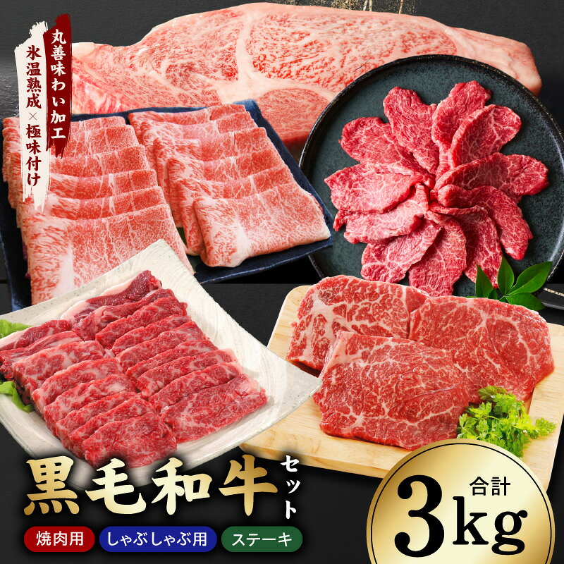 【ふるさと納税】黒毛和牛 5種セット 3kg A4等級ロースステーキ カイノミ バラ 焼肉用 赤身スライス ももステーキ 霜降り すき焼き しゃぶしゃぶ ギフト用 贈答用 牛肉 和牛 冷凍 氷温熟成 極味付け 丸善 詰め合わせ 希少部位 発送月 大阪府 泉佐野市 肉の泉佐野 年内発送