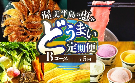 渥美半島の恵み どうまい 定期便 全5回 Bコース （ 野菜 セット 餃子 とうもろこし ジェラート 豚肉 ) 青うなぎ 名古屋コーチン マスクメロン ご当地 人気 頒布会