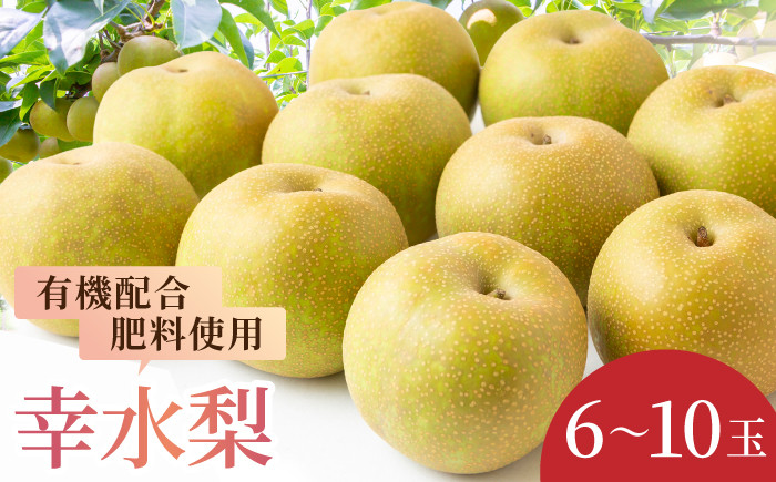 
            【先行予約】有機配合肥料使用 幸水梨 6～10玉 （約3kg） 【2026年7月下旬～8月上旬より順次発送予定】 【春光園】 梨 なし 果物 フルーツ 幸水 こうすい 果実 福岡県 うきは市 常温
          