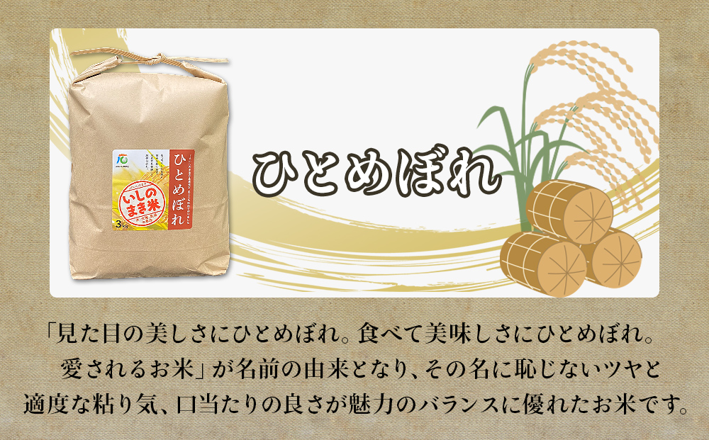 ＜定期便4回・毎月発送＞ ひとめぼれ いしのまき産米 精米 