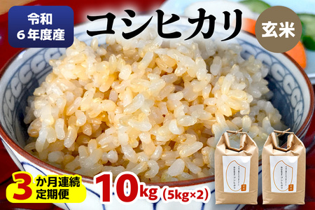 [定期便／3ヶ月 令和6年度産] 特別栽培米 コシヒカリ 玄米10kg(5kg×2袋)×3回｜数量限定 お米 こしひかり 2024年度米 精米 玄米 国産 日光産 産地直送 [0406]