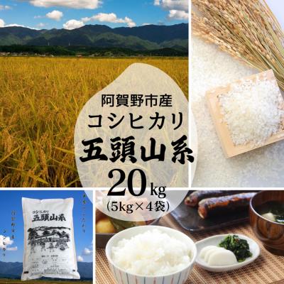 ふるさと納税 阿賀野市 【令和7年産】コシヒカリ　どーんと20kg!「米屋のこだわり阿賀野市産」 |  | 01