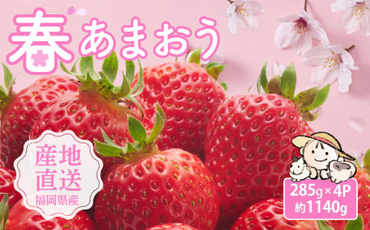【先行予約】【2026年2月下旬より順次発送】爽やか春あまおう いちご 約285g×4パック《豊前市》【ココロファーム】【北海道・沖縄および離島への配送不可】数量限定 苺 いちご あまおう 福岡県産 [VAE012]