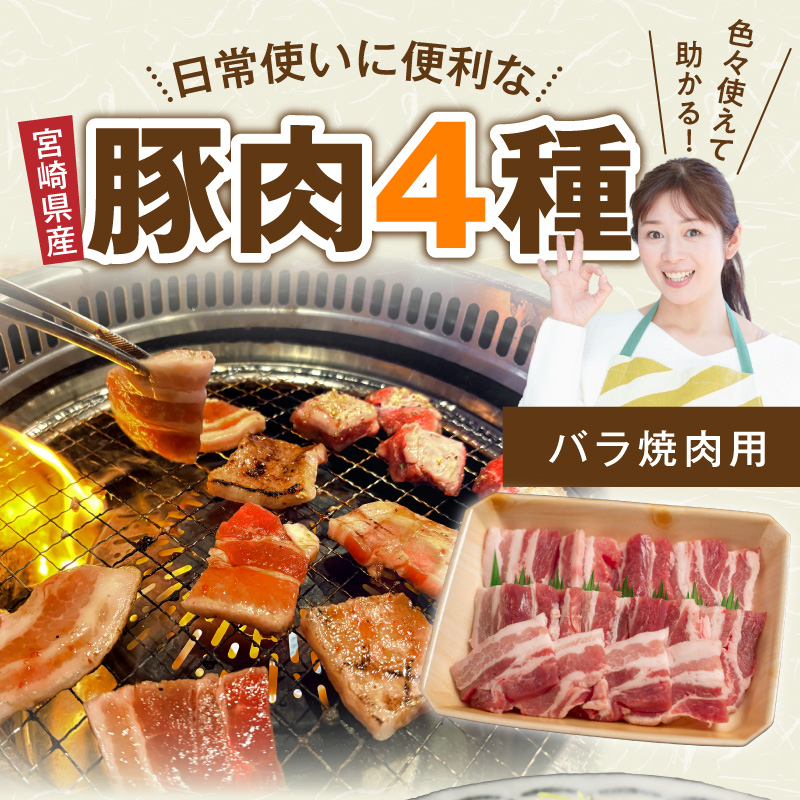 宮崎県産 豚肉 4種盛り合わせ N0217-YA6614_イメージ2