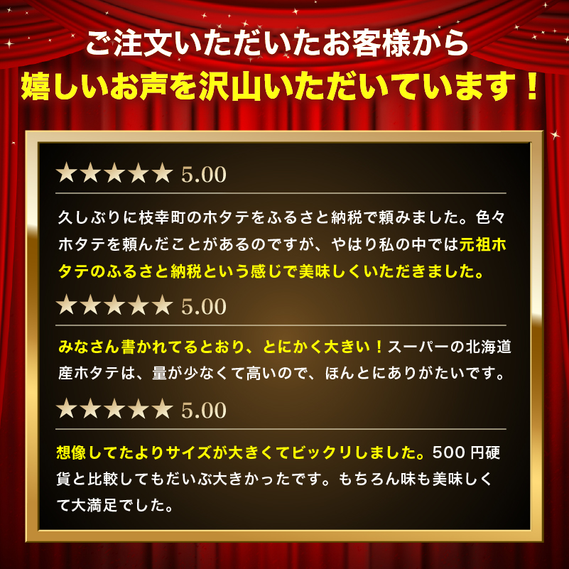 隔月全3回 定期便【枝幸ほたて】たっぷり41～60粒！旨味凝