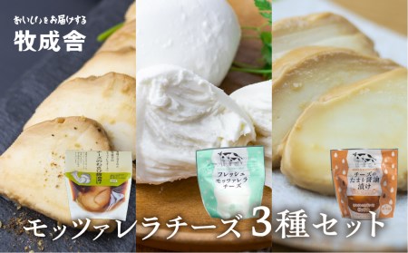 こだわり モッツァレラチーズ 3種セット 100g×3 たまり醤油漬け わさび醤油漬け 自家製[AI091]