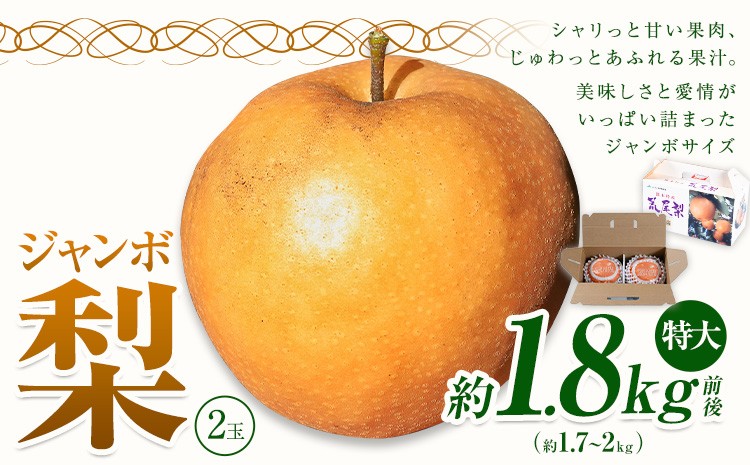 
            【2026年先行予約】 梨 なし 贈答用 荒尾ジャンボ梨（ 新高 ）2玉入り 約1.8kg前後 秋 旬 熊本県 荒尾市産 髙口果樹園《2026年10月上旬-10月下旬頃出荷》フルーツ 果物 ギフト 化粧箱 専用BOX付き 冷蔵
          