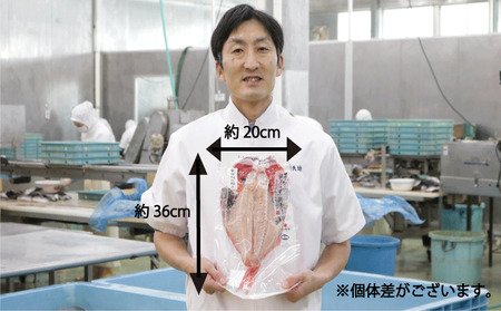 金目鯛開き 3枚 釣り金目鯛 きんめ きんめだい きんめ きんめ きんめ 干物 冷凍 真空パック ふるさと納税 千葉県 銚子市 株式会社阿天坊