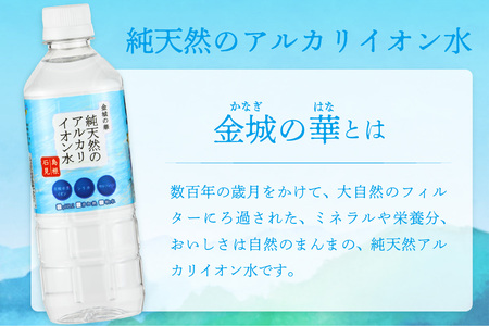 【定期便】ミネラルウォーター（500ml）金城の華 定期コース 12回（初回のみ7年保存水同梱） 天然水 飲料水 アルカリイオン 水 長期保存 防災 備蓄 非常用 保存用 国産 防災用 【043_18