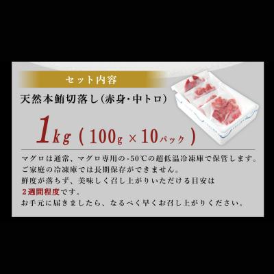 ふるさと納税 室戸市 高豊丸 天然本マグロ (赤身・中とろ) 切り落とし 100g×10パック 1kg |  | 03