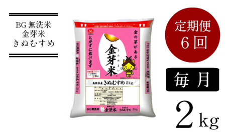 BG無洗米・金芽米きぬむすめ 2kg×6ヵ月 定期便 【毎月】 新米［令和6年産］計量カップ無し