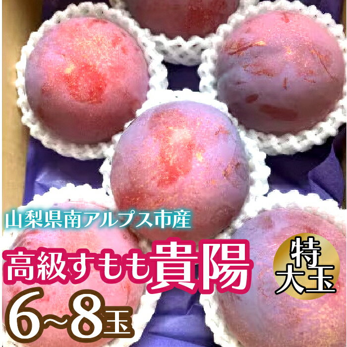 【ふるさと納税】＜2026年発送先行予約＞高級すもも「貴陽」特大玉6〜8玉 ふるさと納税 すもも 貴陽 プラム 特大玉 果物 フルーツ おすすめ 山梨県 南アルプス市 送料無料 ALPCZ012