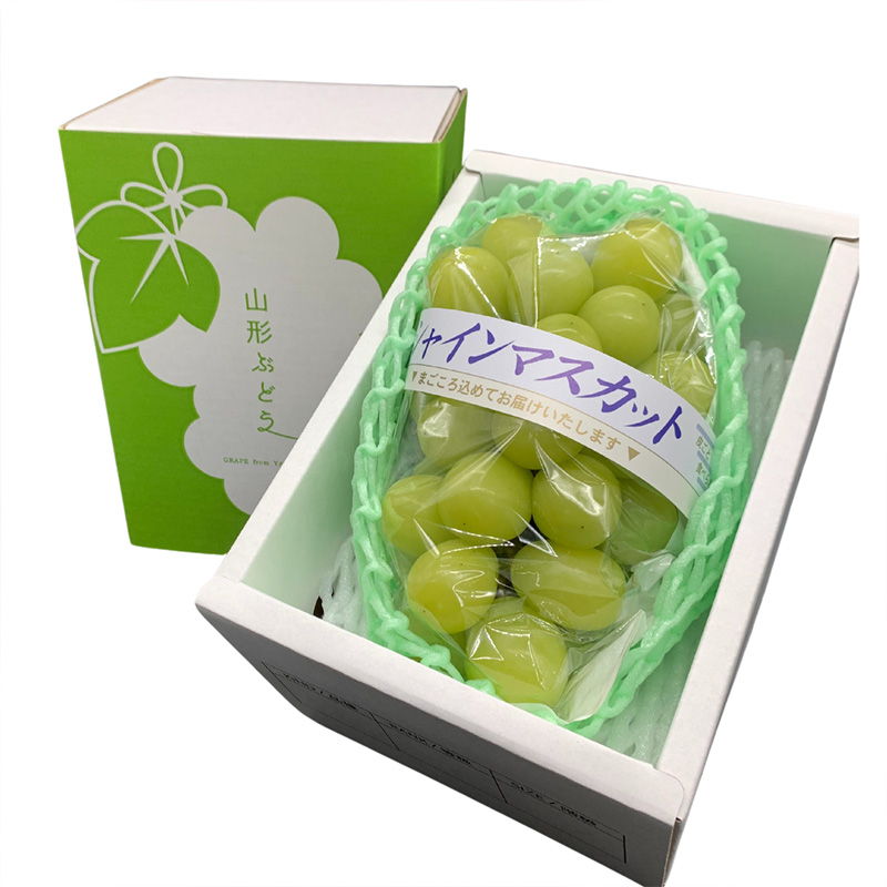 【定期便4回】やまがた 秋風フルーツライン定期便【令和8年産先行予約】FU23-878