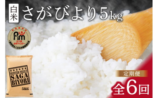 【11月から順次発送】 令和6年産 《マイスターセレクト》 さがびより【白米】 5kg×６回 B700