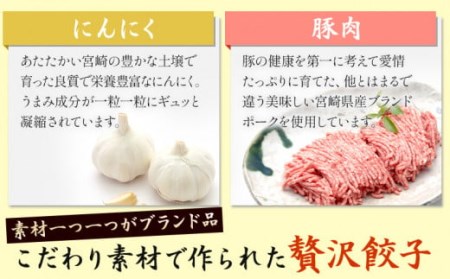 市場で製造直売の餃子! 8パックセット（生餃子、にんにく餃子、市場の辛餃子、にら餃子）