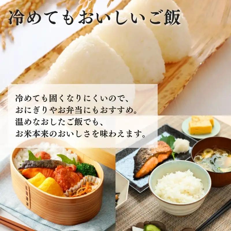 おおた農場 新之助 特別栽培米 無洗米 新之助 5kg