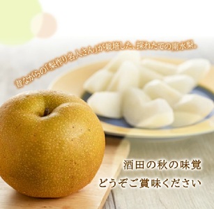 SA2641　酒田産【特選】 南水梨　約3kg(5～9玉入)