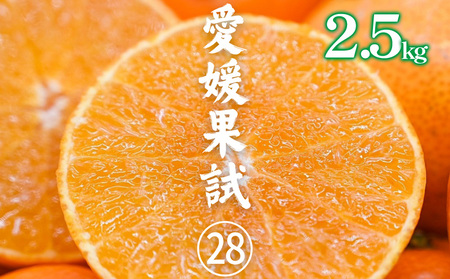 訳あり 愛果28号（紅まどんな と同品種）約2.5kg | 紅マドンナ と同品種 まどんな マドンナ 柑橘 果物 フルーツ あいか 愛果28号 みかん 松山市 愛媛県【HNT018】