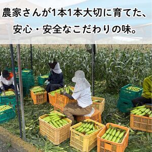 訳あり とうもろこし きみひめ 約5kg 《 2026年6月中旬から発送 》