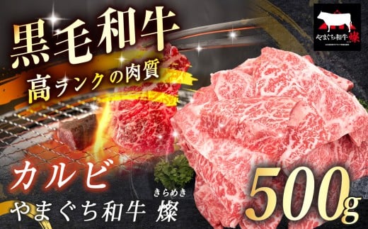 数量限定！選べる 極上牛肉 やまぐち和牛 燦 ( きらめき ) カルビ 500g ｜ 山口 県 美祢市 牛肉 ブランド牛 黒毛和牛 カルビ 焼肉  牛 肉 お肉 にく