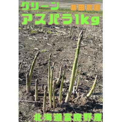 【ふるさと納税】【2025年発送】北海道　富良野産　グリーンアスパラ　無選別　約1kg【配送不可地域：離島】【1611749】