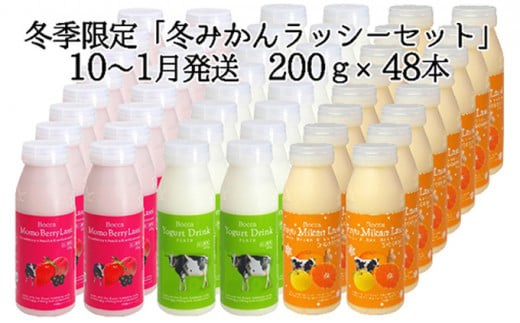 [№5525-7037]0408牧家(Bocca) 飲むヨーグルト＆季節のラッシー200ml×48本セット　10～1月：ラッシー（冬みかん）