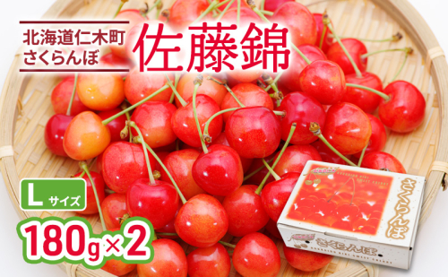 2026年発送 北海道 仁木町産 さくらんぼ 佐藤錦 180g×2P Lサイズ   サクランボ チェリー フルーツ 果物 果物類 仁木町 仁木 [林果樹園]
