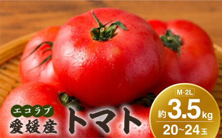 自然な美味しさ、たっぷり味わう。エコラブトマトMから2Lサイズ（20から24玉）約3.5kg　愛媛県大洲市/沢井青果有限会社 [AGBN012]とまとトマト野菜とまとトマト野菜とまとトマト野菜とまとトマト野菜とまとトマト野菜とまとトマト野菜とまとトマト野菜とまとトマト野菜とまとトマト野菜とまとトマト野菜とまとトマト野菜とまとトマト野菜とまとトマト野菜とまとトマト野菜とまとトマト野菜とまとトマト野菜とまとトマト野菜とまとトマト野菜とまとトマト野菜とまとトマト野菜とまとトマト野菜とまとトマト野菜とまとトマト野菜
