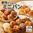 【ふるさと納税】愛情たっぷりミニパン【計20個（10種類 各2個）】 パン 食べ比べ 詰め合わせ セット あんぱん チョコパン クリームパン メロンパン チョコメロンパン チョコロール クルミパン さつま芋パン 紫芋パン リンゴデニッシュ 朝食 お取り寄せ 愛知県 送料無料