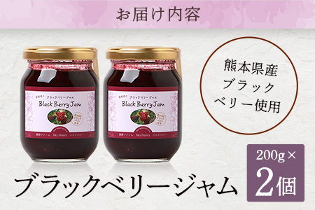 無農薬 自家栽培 「ブラックベリー ジャム」 2瓶 セット ジャム 無農薬 無添加 無水 ベリー ポリフェノール 栄養 天然素材 スイーツ ゆず フルーツ 果物 094-0004