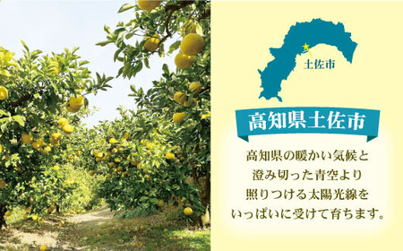 【先行予約】【訳あり】土佐文旦（ぶんたん）家庭用 約3kg（M〜5L） 高知県土佐市 【株式会社とさもん】 [BQAE043]