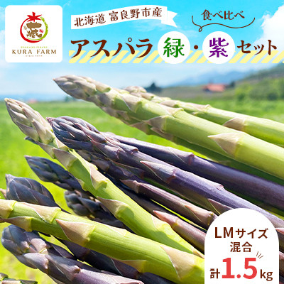 
＜2025年発送＞富良野市産 アスパラ 緑・紫(LMサイズ混合 計1.5kg) 〈藏ファーム〉【1505724】
