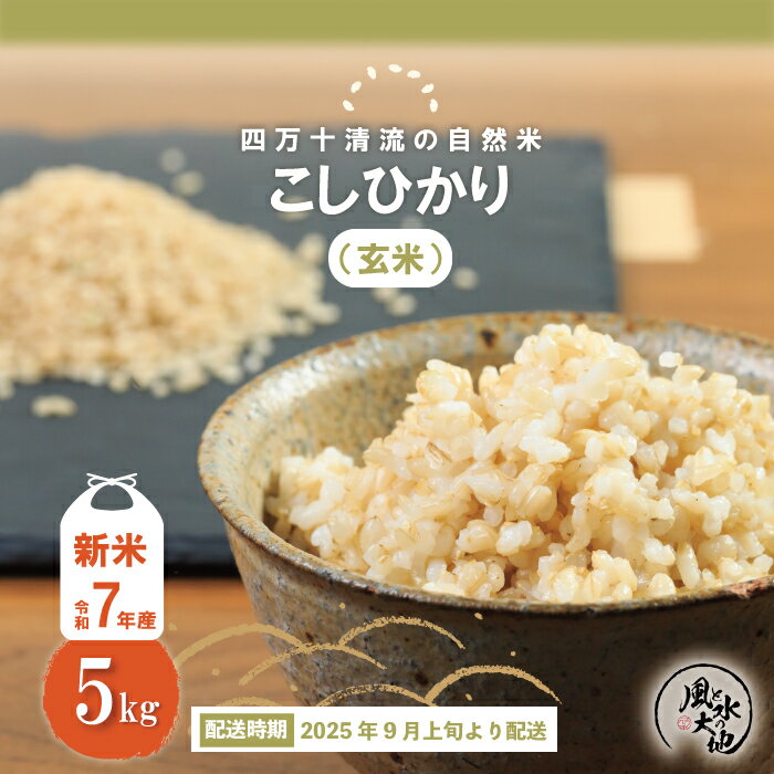 【ふるさと納税】【令和7年産新米・早期受付】四万十清流の自然米　玄米5kg（コシヒカリ） 国産 新米 予約 先行 こしひかり コシヒカリ 5kg 令和7年 2025年 自然米 玄米 げんまい 米 おこめ コメ ご飯 ごはん 高知 四万十 しまんと ミネラル【2025年9月より順次配送】25-854
