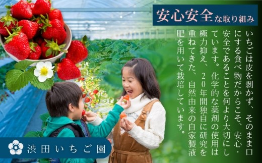 【先行受付！2027年2月から発送開始】事業者お任せ！紅白いちご食べ比べ定期便　全3回（2月〜4月）：B400-025