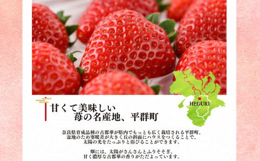 【定期便2回】平群の古都華 2L～3Lサイズ （2パック 1ケース） 計2パック | 先行予約 1月 2月 お届け いちご 苺 古都華 フルーツ 果物 くだもの ブランド 苺  甘い 大人気 旬 送料