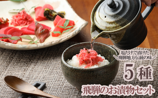 飛騨のお漬物 5種類セット 漬け物 飛騨 詰め合わせ つけもの 漬物 下呂市 下呂