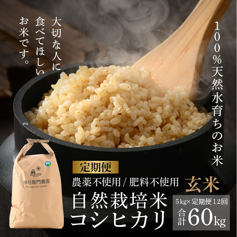 【先行予約】【定期便12回】令和6年産 新米 伊与衛門農園の自然栽培コシヒカリ玄米 5kg×12回  伊与衛門農園の特別栽培米 ＜温度と湿度を常時管理し新鮮米を出荷！＞ / 米 自然の力 高品質 鮮度抜群 ブランド米 福井県 あわら市産 スマート農業 白米 ※2024年10月中旬以降順次発送予定