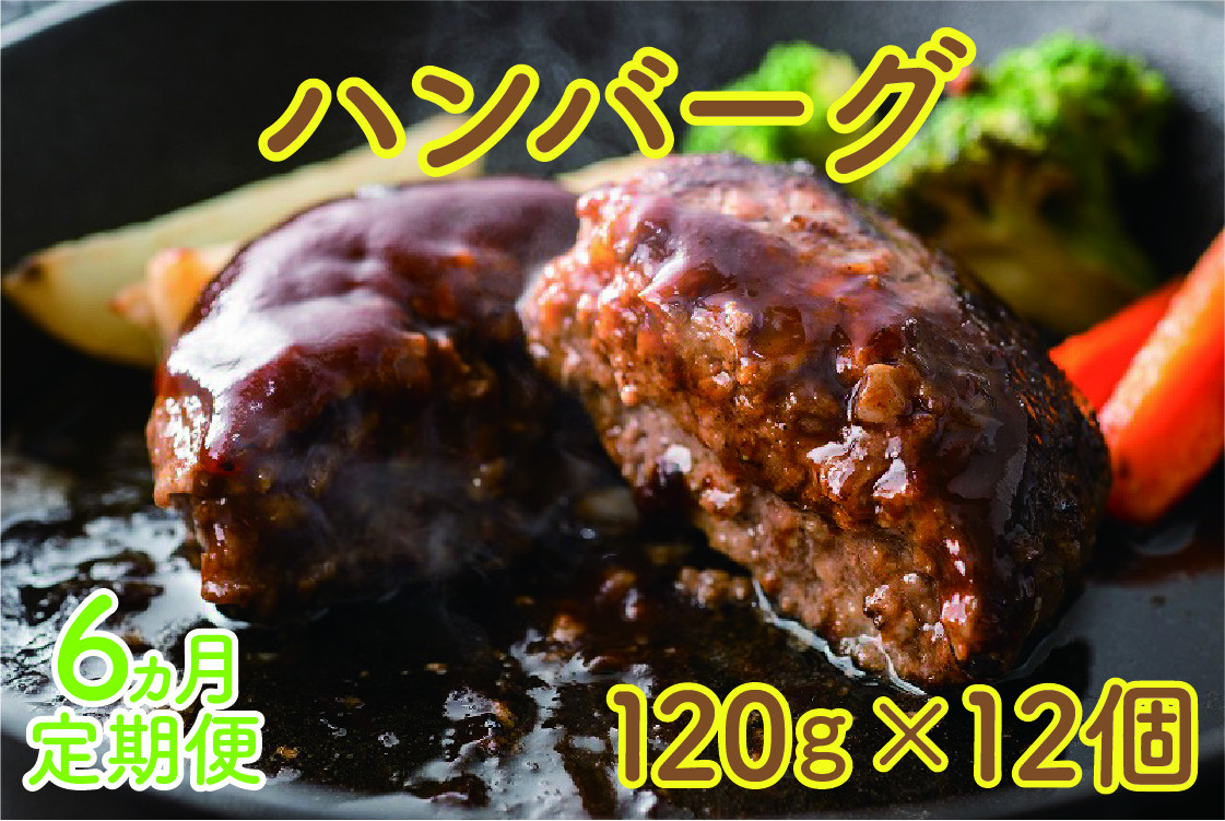 
北海道産 上ノ国町 フルーツポークのハンバーグ（120g×12個）【7月･8月･9月･10月･11月･12月定期便】
