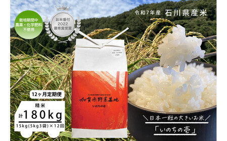 【12ヶ月定期便】【お米番付優秀賞受賞農家】日本一粒の大きいお米『いのちの壱』白米15kg×12回