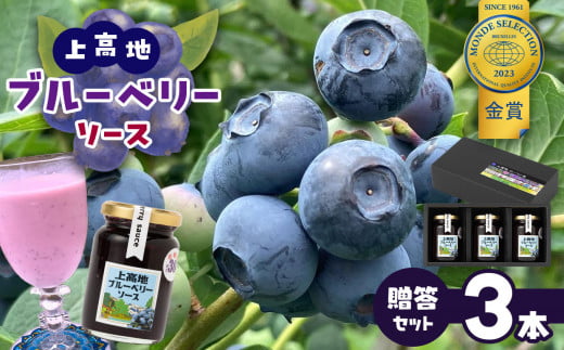 上高地ブルーベリーソース　贈答3本セット│信州 贈答用 ブルーベリー ジャム ソース 新鮮 加工品 甘い 美味しい 特別 松本 ふるさと納税 上高地