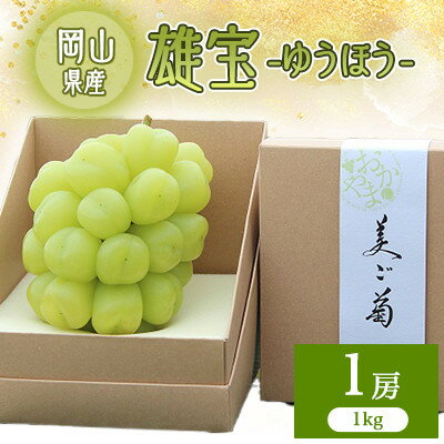 【ふるさと納税】2026年先行予約　雄宝　1房　1キロ【配送不可地域：離島】【1616174】