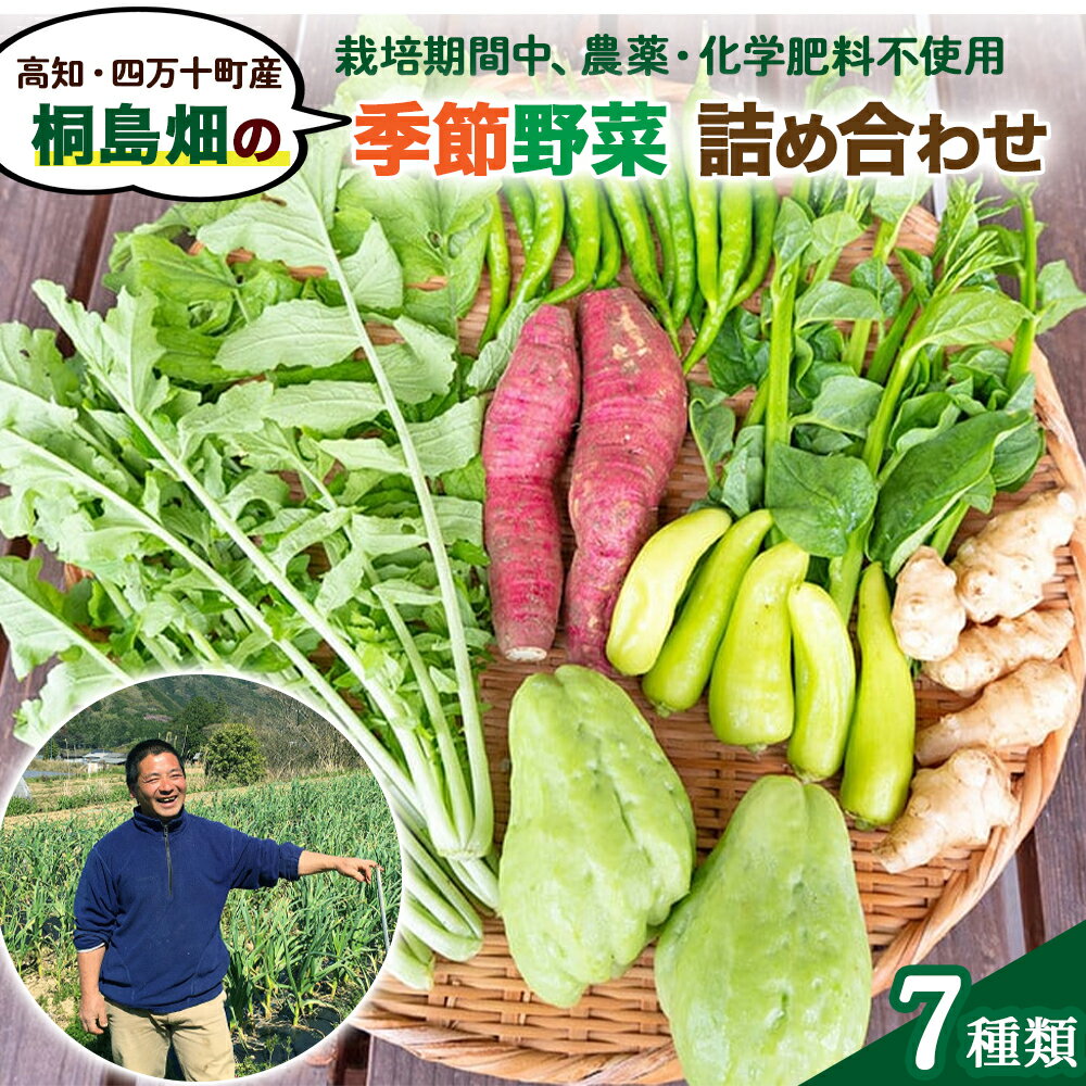 【ふるさと納税】 【栽培期間中、農薬・化学肥料不使用】桐島畑の季節野菜詰め合わせ(7種類) Fkh-10 やさい 野菜 国産野菜 野菜セット 野菜詰め合わせ 季節 新鮮フレッシュ 旬 無農薬 産地直送