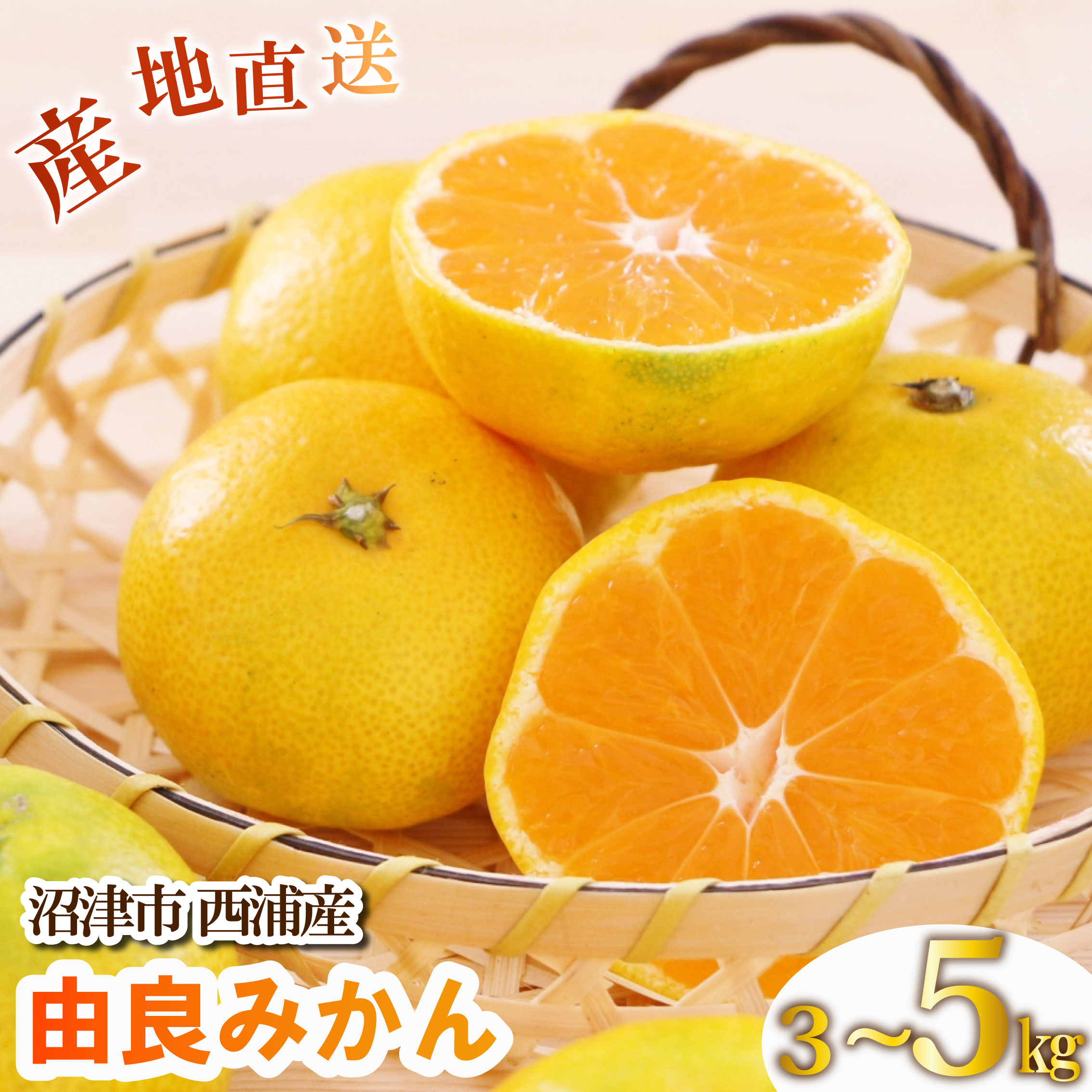 【ふるさと納税】 【先行予約】＜2026年発送＞ 由良みかん 3kg 5kg 沼津市 西浦産 10月中旬頃より発送予定 みかん ミカン 蜜柑 フルーツ 果物 くだもの 産地直送 川洋ぶどう園 静岡県 沼津市