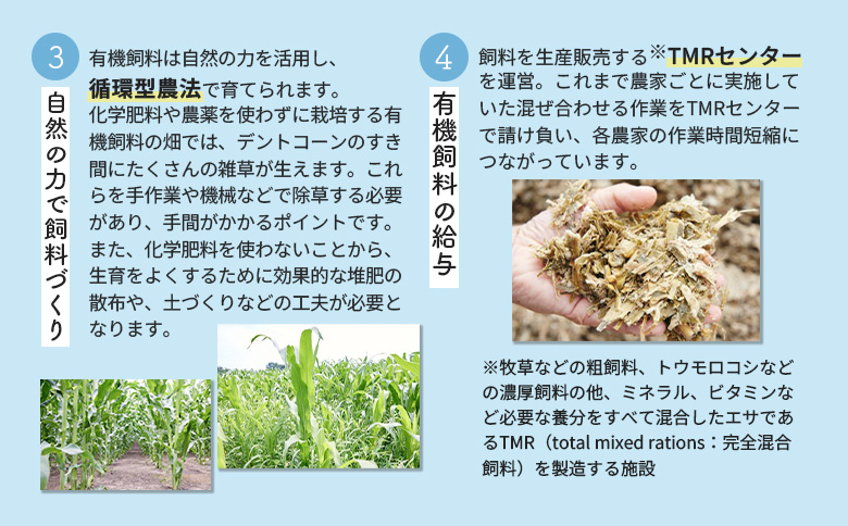 配送地域限定 定期便10回  明治オーガニック牛乳 900ml 4本｜定期便 明治 牛乳 オーガニック オーガニック牛乳 オンライン 申請 ミルク みるく 牛乳 ふるさと納税 健康 体にいい 乳製品 