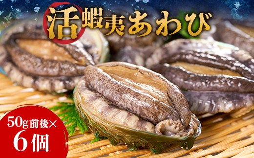 活き蝦夷あわび　6個【配送不可地域：離島・北海道・沖縄県・東北・中国・四国・九州】