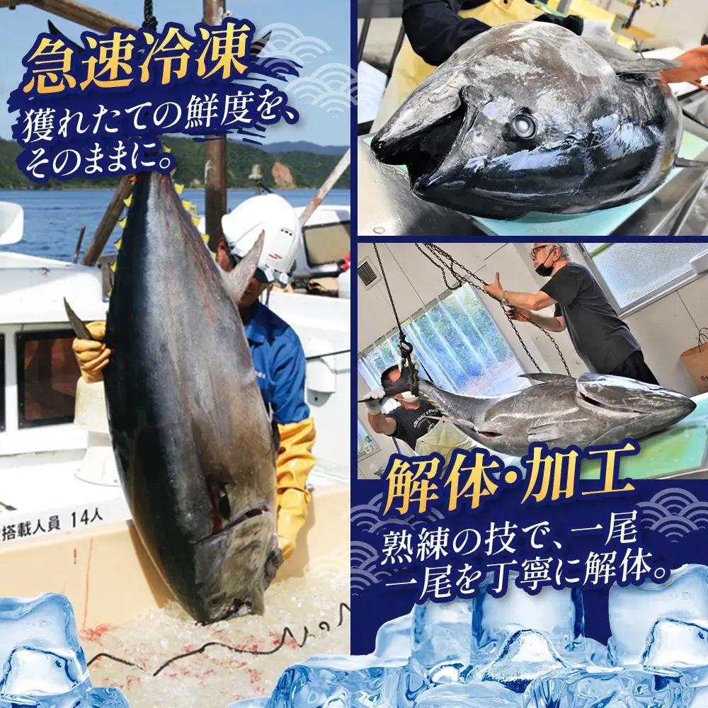 クロマグロ 黒マグロ 3柵セット 750g以上 大トロ 中トロ 赤身 冷凍 奄美大島産養殖