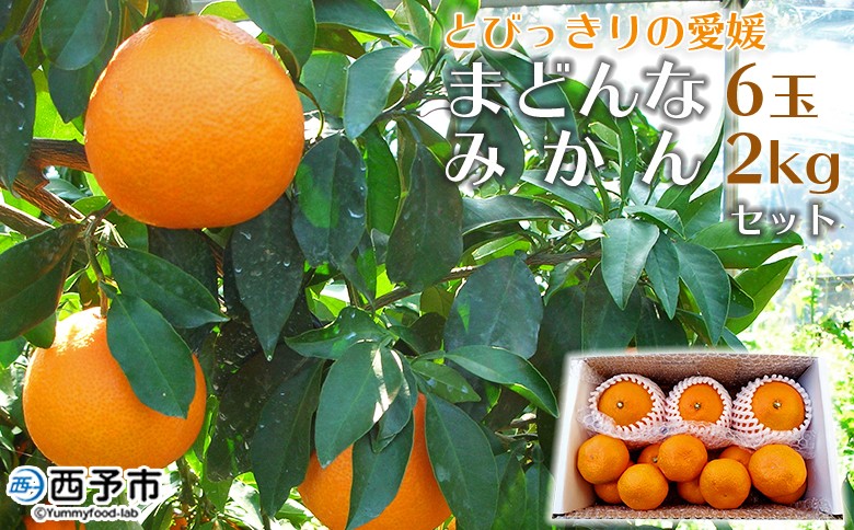 
            紅まどんなと同品種！＜とびっきりの愛媛 まどんな6玉＆温州みかん約2kgセット＞果物 柑橘 フルーツ マドンナ 愛媛果試第28号 ミカン 蜜柑 期間限定 特産品 産地直送 片山果樹園 西宇和 愛媛県 西予市【常温】『2025年12月中旬より順次発送予定』
          