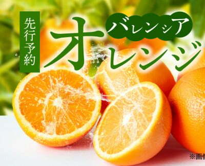G7078_希少な 国産 バレンシアオレンジ 2.5kg 秀品
