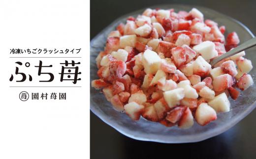 
74-20　園村苺園　宇土産 完熟冷凍いちご「ぷち苺」1kg（500g×2パック）
